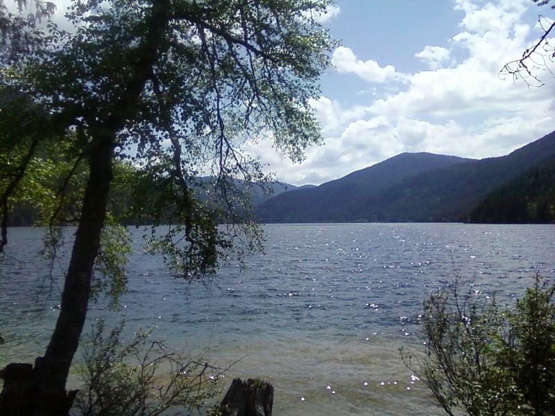 Sullivan Lake on a calm summer day, ringed by forested mountains